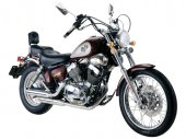 2009 Lifan LF250 Cruiser photo